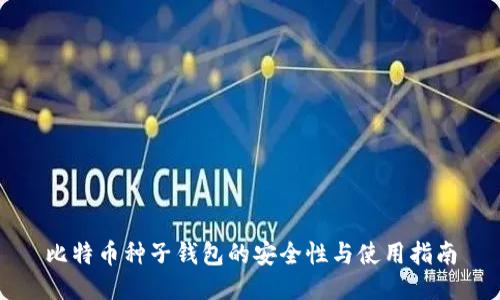比特币种子钱包的安全性与使用指南