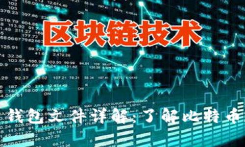 早期比特币钱包文件详解：了解比特币存储与安全