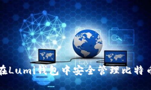 如何在Lumi钱包中安全管理比特币钱包