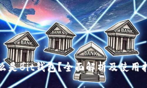 什么是Bit钱包？全面解析及使用指南