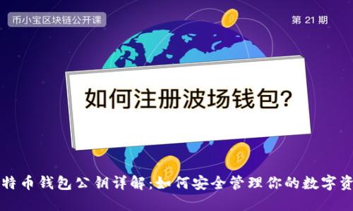 比特币钱包公钥详解：如何安全管理你的数字资产