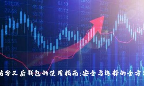 以太坊分叉后钱包的使用指南：安全与选择的全方位解析