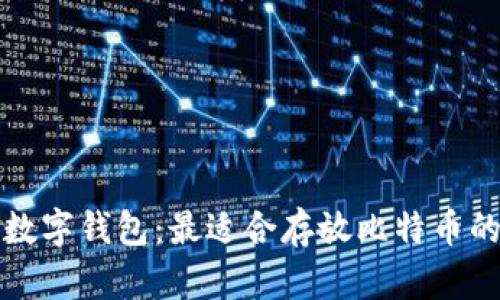 选择最佳数字钱包：最适合存放比特币的选择指南
