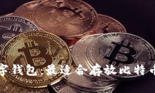 选择最佳数字钱包：最适合存放比特币的选择指南
