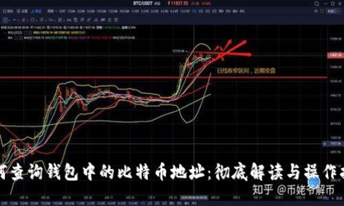 如何查询钱包中的比特币地址：彻底解读与操作指南