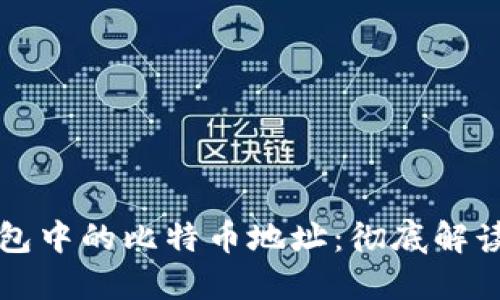 如何查询钱包中的比特币地址：彻底解读与操作指南