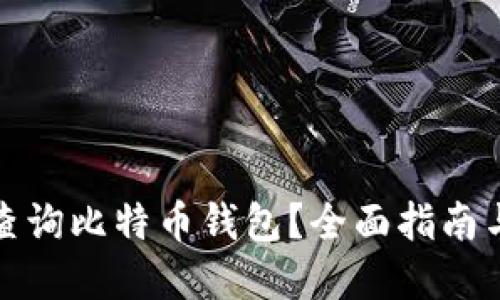 如何高效查询比特币钱包？全面指南与实用技巧