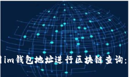 如何使用im钱包地址进行区块链查询：详细指南