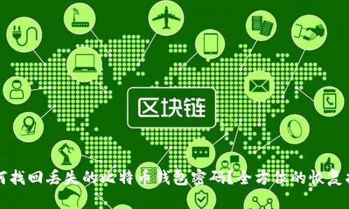 如何找回丢失的比特币钱包密码？全方位的恢复指南