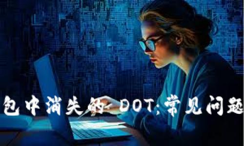 如何处理波卡钱包中消失的 DOT：常见问题解答及解决方案