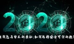 深入探索区块链钱包与分叉的奥秘：如何选择安