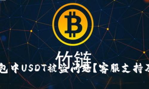 如何处理BK钱包中USDT被盗问题？客服支持及解决方法详解