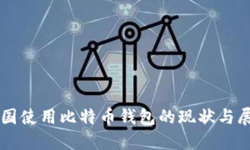 中国使用比特币钱包的现状与展望