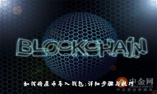 如何将屎币导入钱包：详细步骤与技巧