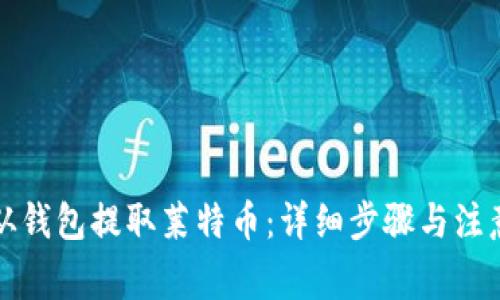 如何从钱包提取莱特币：详细步骤与注意事项