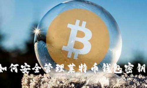 如何安全管理莱特币钱包密钥？