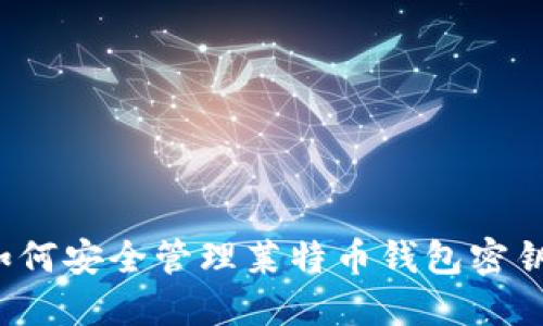 如何安全管理莱特币钱包密钥？