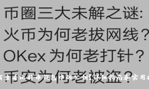 如何查看比特币钱包中的公钥？详细指南和实用技巧
