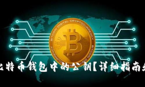 如何查看比特币钱包中的公钥？详细指南和实用技巧