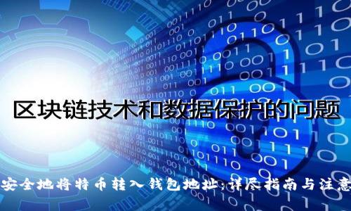 如何安全地将特币转入钱包地址：详尽指南与注意事项