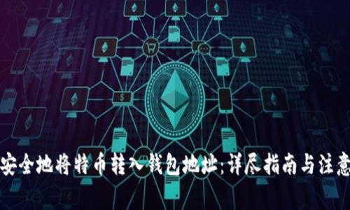 如何安全地将特币转入钱包地址：详尽指南与注意事项