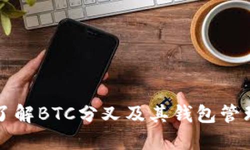 深入了解BTC分叉及其钱包管理技巧