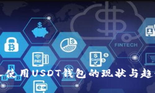 美国人使用USDT钱包的现状与趋势分析