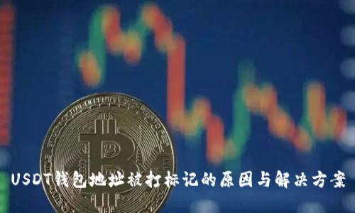 USDT钱包地址被打标记的原因与解决方案