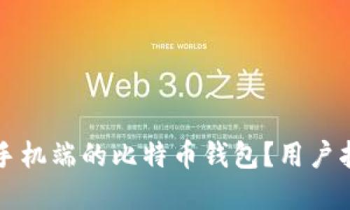 如何选择适合手机端的比特币钱包？用户指南与最佳推荐