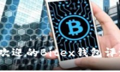 2023年最受欢迎的Bitex钱包评测与选择指南