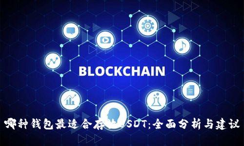 哪种钱包最适合存放USDT：全面分析与建议