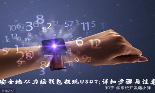 如何安全地从力场钱包提现USDT：详细步骤与注意事项