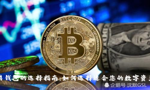 比特币交易钱包的选择指南：如何选择适合您的数字资产管理工具