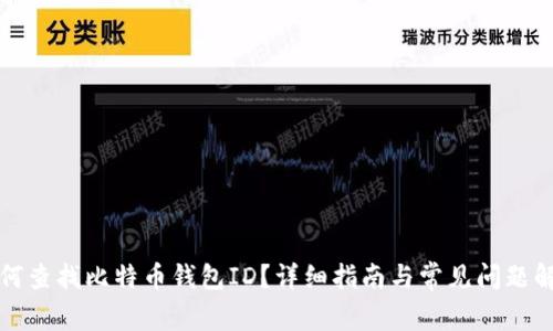 如何查找比特币钱包ID？详细指南与常见问题解答