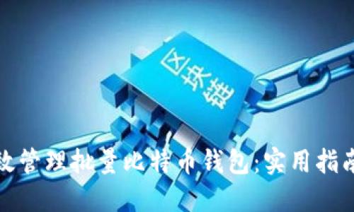 如何高效管理批量比特币钱包：实用指南与建议