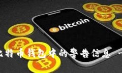 如何解决比特币钱包中的警告信息 - 完整指南