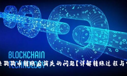 如何解决狗狗币转账后消失的问题？详解转账过程与常见错误