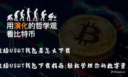 波场USDT钱包要怎么下载

波场USDT钱包下载指南：轻松管理你的数字资产