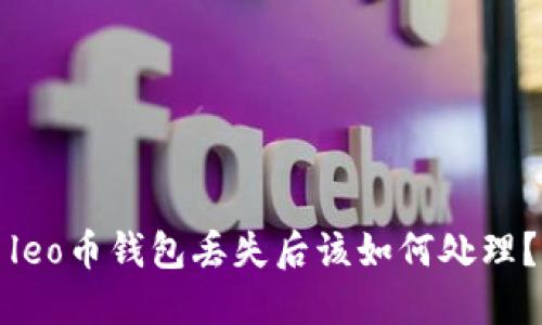 leo币钱包丢失后该如何处理？