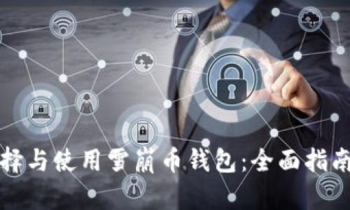 如何选择与使用雪崩币钱包：全面指南与技巧