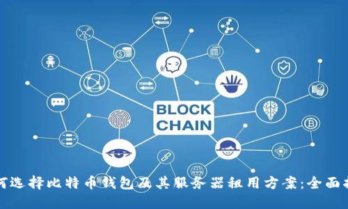 如何选择比特币钱包及其服务器租用方案：全面指南