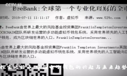 探索比特币：中国电子钱包的兴起与未来趋势