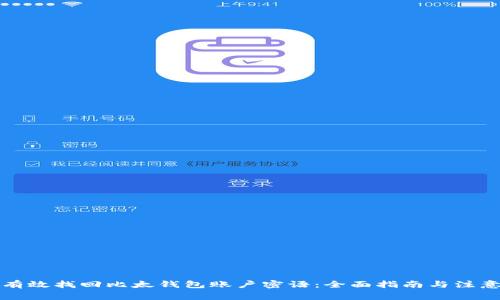 如何有效找回比太钱包账户密语：全面指南与注意事项