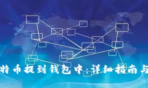 如何将比特币提到钱包中：详细指南与实用技巧