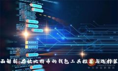 全面解析：存放比特币的钱包工具推荐与选择策