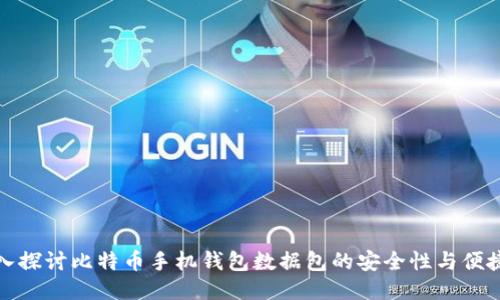 深入探讨比特币手机钱包数据包的安全性与便捷性