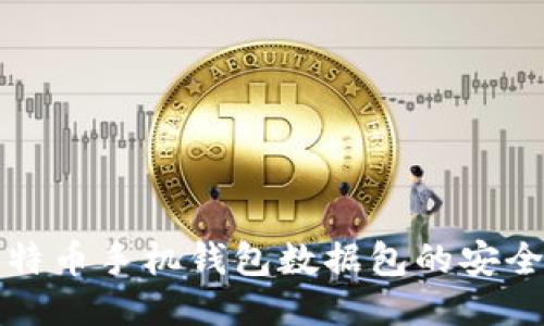 深入探讨比特币手机钱包数据包的安全性与便捷性