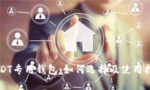 USDT专用钱包：如何选择及使用指南