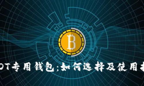 USDT专用钱包：如何选择及使用指南