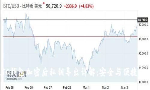 LTC钱包加密后私钥导出详解：安全与便捷并存